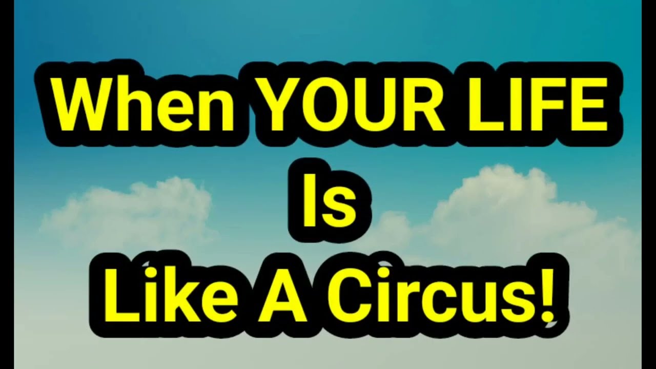 When your life is like aa circus activity  book