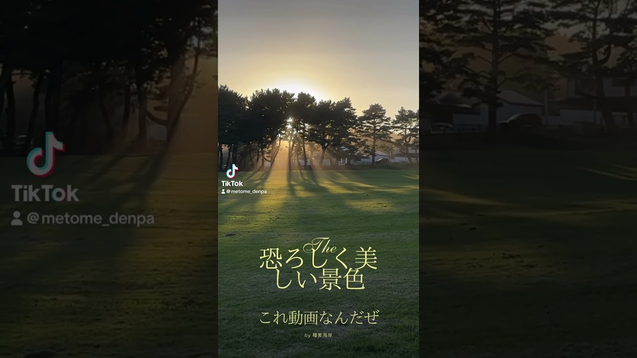 種差海岸 これ動画なんです｜Wait, This is a Video?｜Tanesashi #種差海岸 #絶景 #Aomori