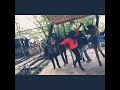 ربيع البصري دبكة حرامي حرامي 