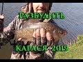 МОРМЫШИНГ.  РАЗБУДИТЬ КАРАСЯ 2019