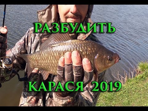 МОРМЫШИНГ. РАЗБУДИТЬ КАРАСЯ
