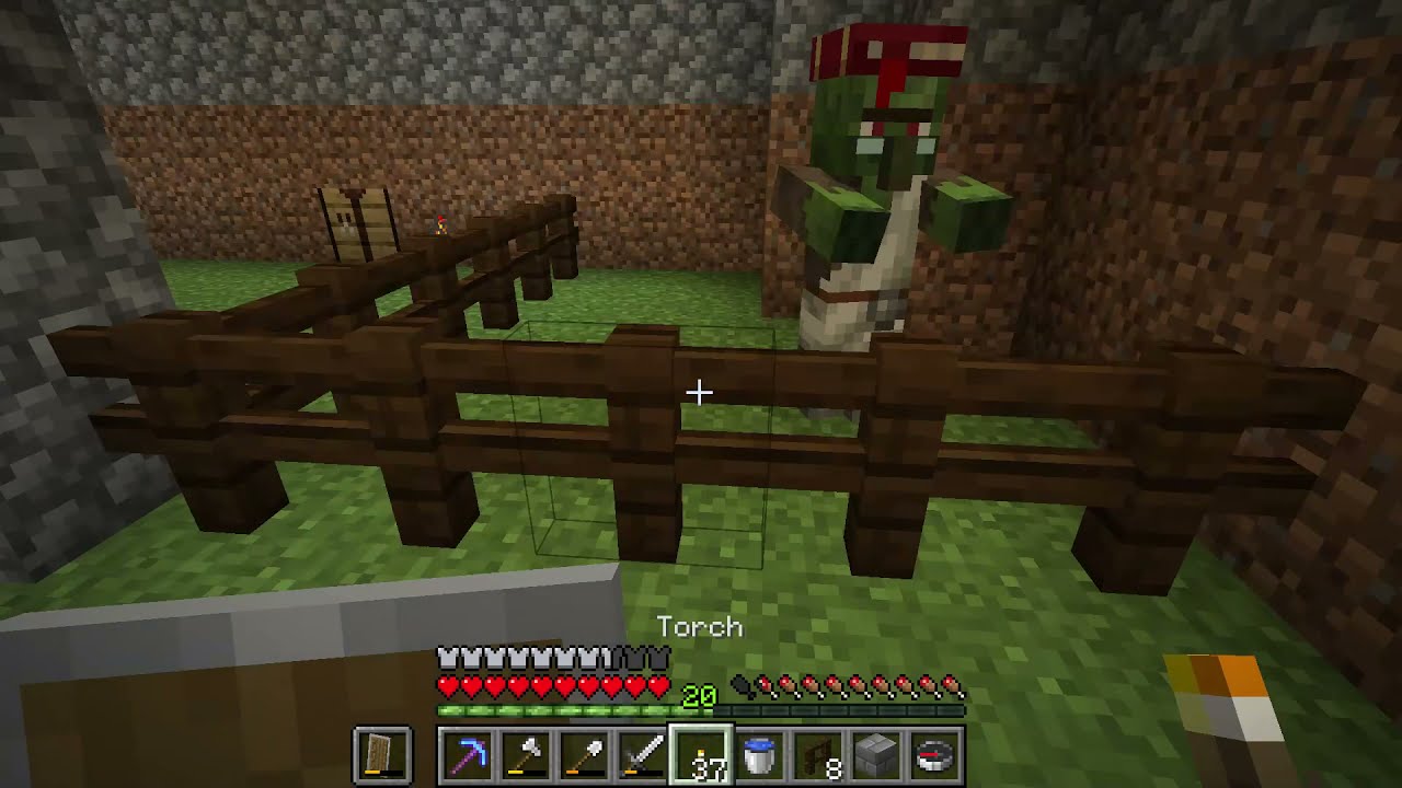 How to keep zombie villager safe until you get the Cure - Minecraft