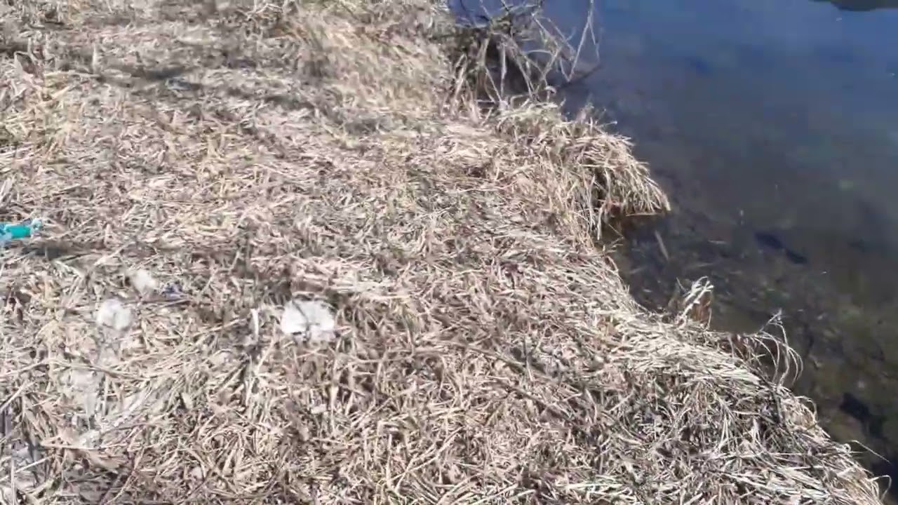 2월19일 포천 명덕천~