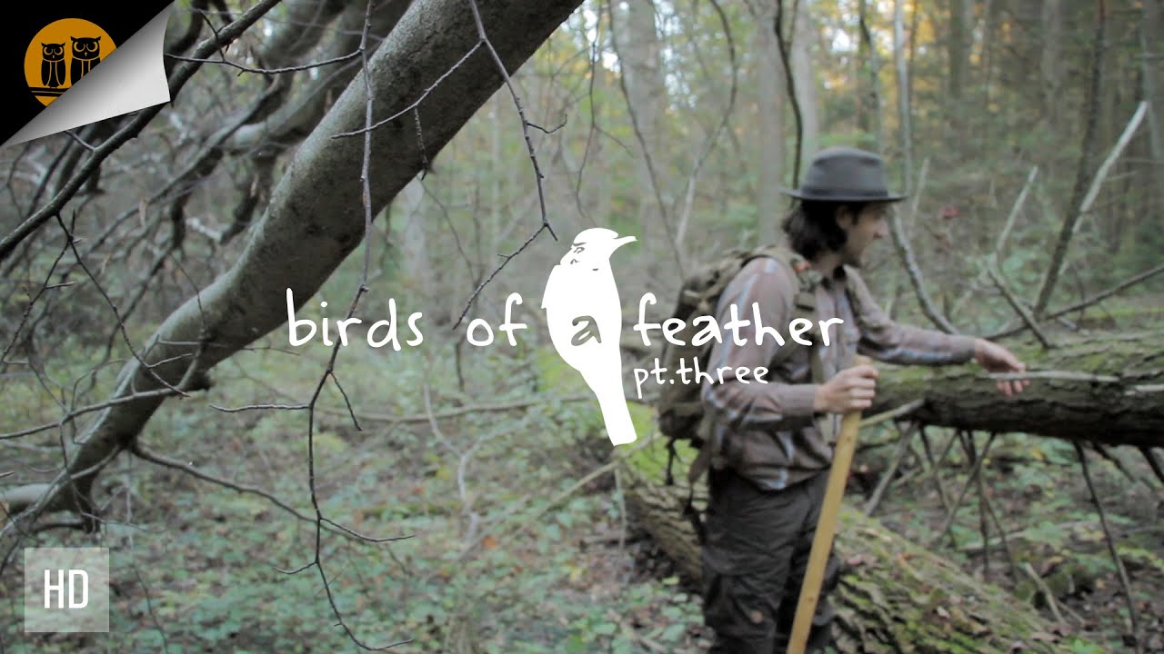 Birds of a Feather: Part 3 | Autumn Day Hike gears of war 5