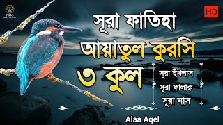 Video Download
