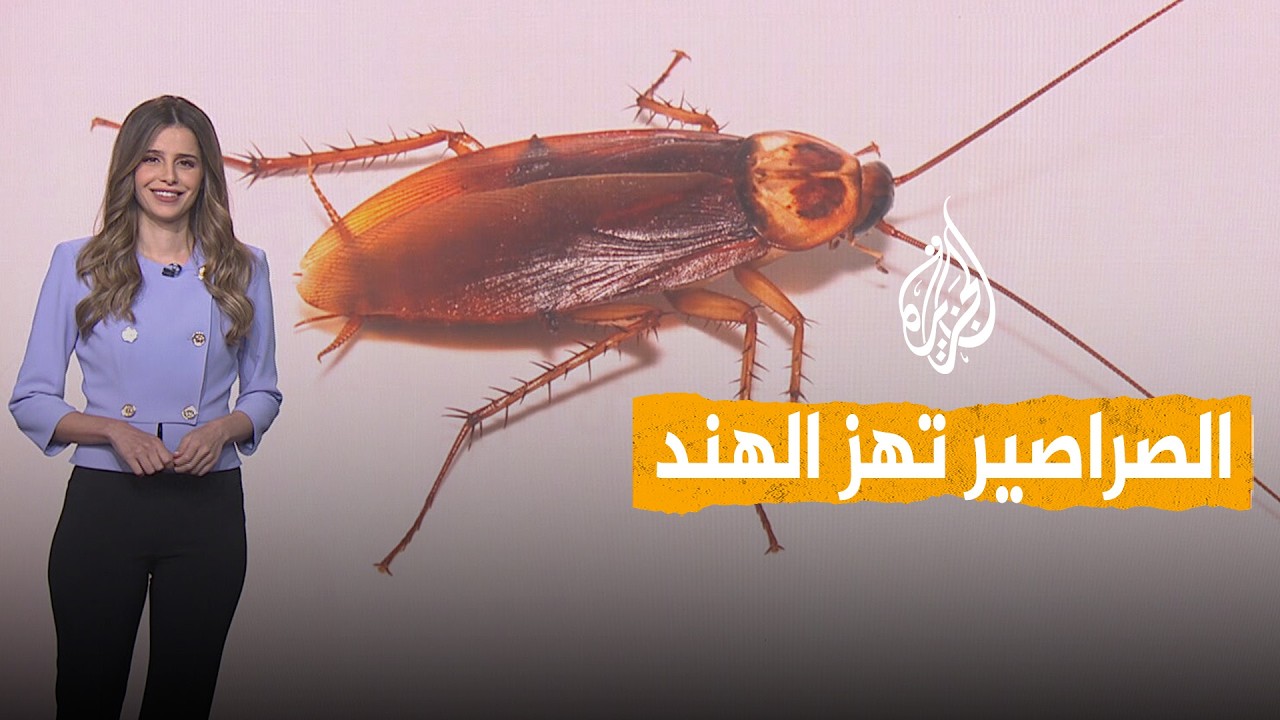 ����� | ���� -��������- ��� �����.. �� ����ɿ
 - نشر قبل 9 دقيقة