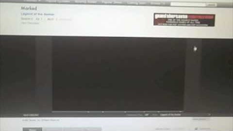Flash 10.1 - Streaming Video Playback (Firefox 3.5)
