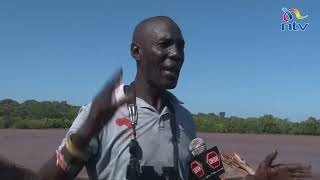 Sabaki residents mourn 'death' of 800-year-old baobab tree uprooted by floods