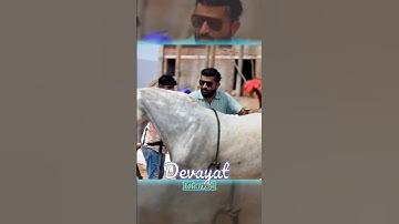 Sigma Rule // Devayat Khavad #trendingshorts #devayatkhavad