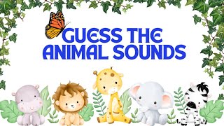 Animal Sounds