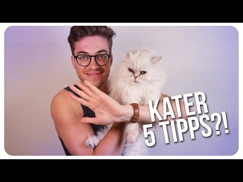 Video: 6 Tipps Zur Vorbeugung Und Heilung Von Kater