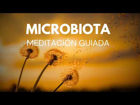 Meditación SALUD DE LA MICROBIOTA INTESTINAL