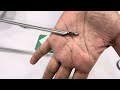 laparoscopic Optical Biopsy Surgicals Instruments #laparoscopicsurgeon #laparoscopictraining #uro