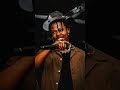 nasty c