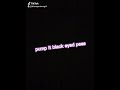 Pump It Audio Edit Original Pump It Audio Edit Original