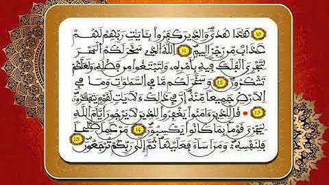 سورة الجاثية / للقارئ  محمد الجابري الحياني