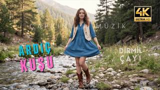 Vay Nasıl Duram Oy Nasıl Duram - Çapkın Müzik - Ardıcın Dalında Asılı Curam - Dirmil Çayı - Ayşam