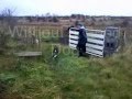 3D Kennels Ireland - Cattle Working Bred Pups For Sale Ireland 2013 3D Kennels Ireland - Cattle Working Bred Pups For Sale Ireland 2013