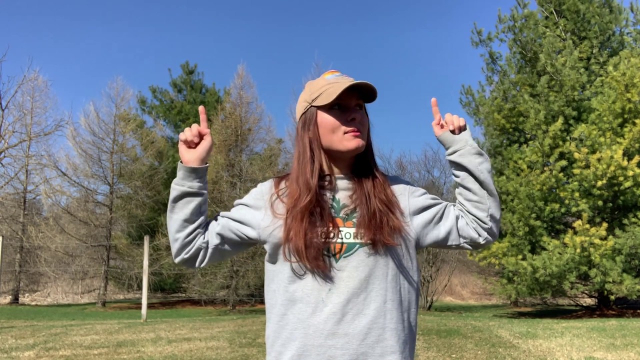 Sensory Explorations