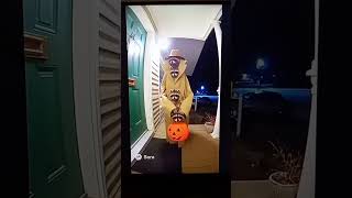 Three raccoons in a trench coat caught on doorbell camera 🍬🎩🦝
