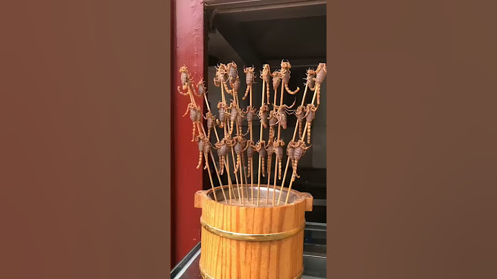 The Most Famous Food Dark Cuisine Roast Scorpions in China
