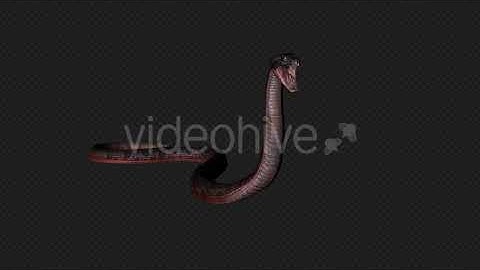 Red Snake Die And Get Up And PassOut Pack 8 In 1 | Motion Graphics - Envato elements