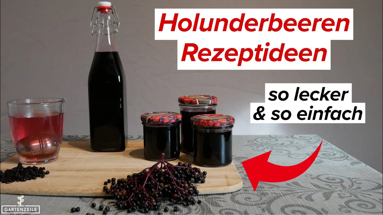 Leckere Holunderbeer-Rezepte // Saft, Sirup, Gelee &amp; Tee [so einfach ...