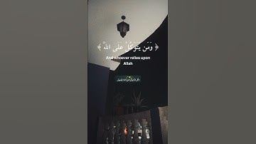 تلاوة الشيخ ماهر المعيقلي سورة الطلاق 🤎 #القران #quranismylife #loveallahﷻ #القرآن_الكريم #اكسبلور