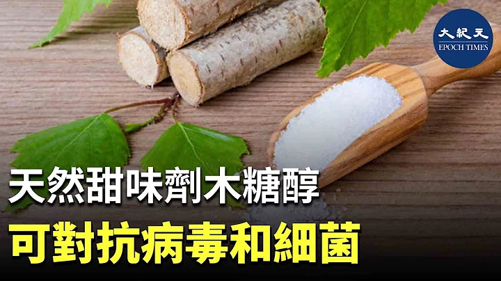 研究表明，木糖醇可能同時具有抗菌和抗病毒特性。這是一種在天然成分中發現的不尋常且受歡迎的組合，可能有助於減少處方藥的使用。| #香港大紀元新唐人聯合新聞頻道 - 天天要聞