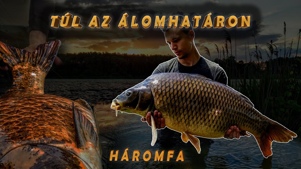 Bojlival magyar vizeken E-04 ~ Revans Háromfán 🐟 | Pontyhorgászat töklevelek között |