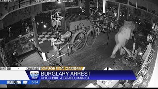 Chico man arrested for burglary at local bike and skateboard shop