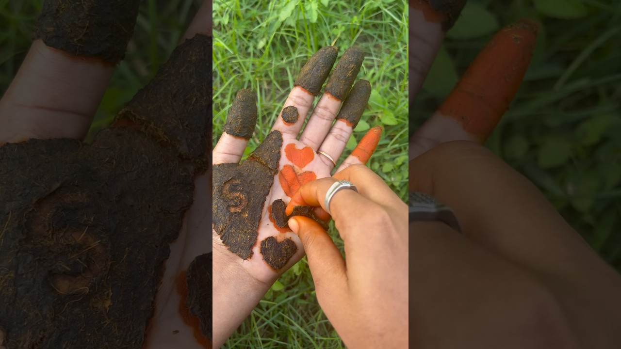 🍁 Maruthani 🍃| 