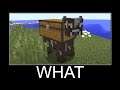 Wait What Minecraft Meme - part 193