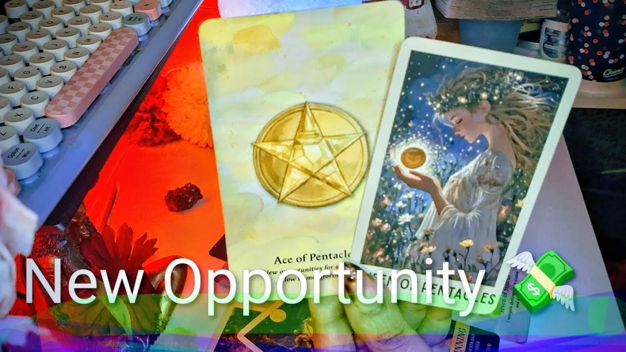 ♍️ VIRGO — THIS OPPORTUNITY BRINGS MONEY 💸 7–11 Day Window🪽💰