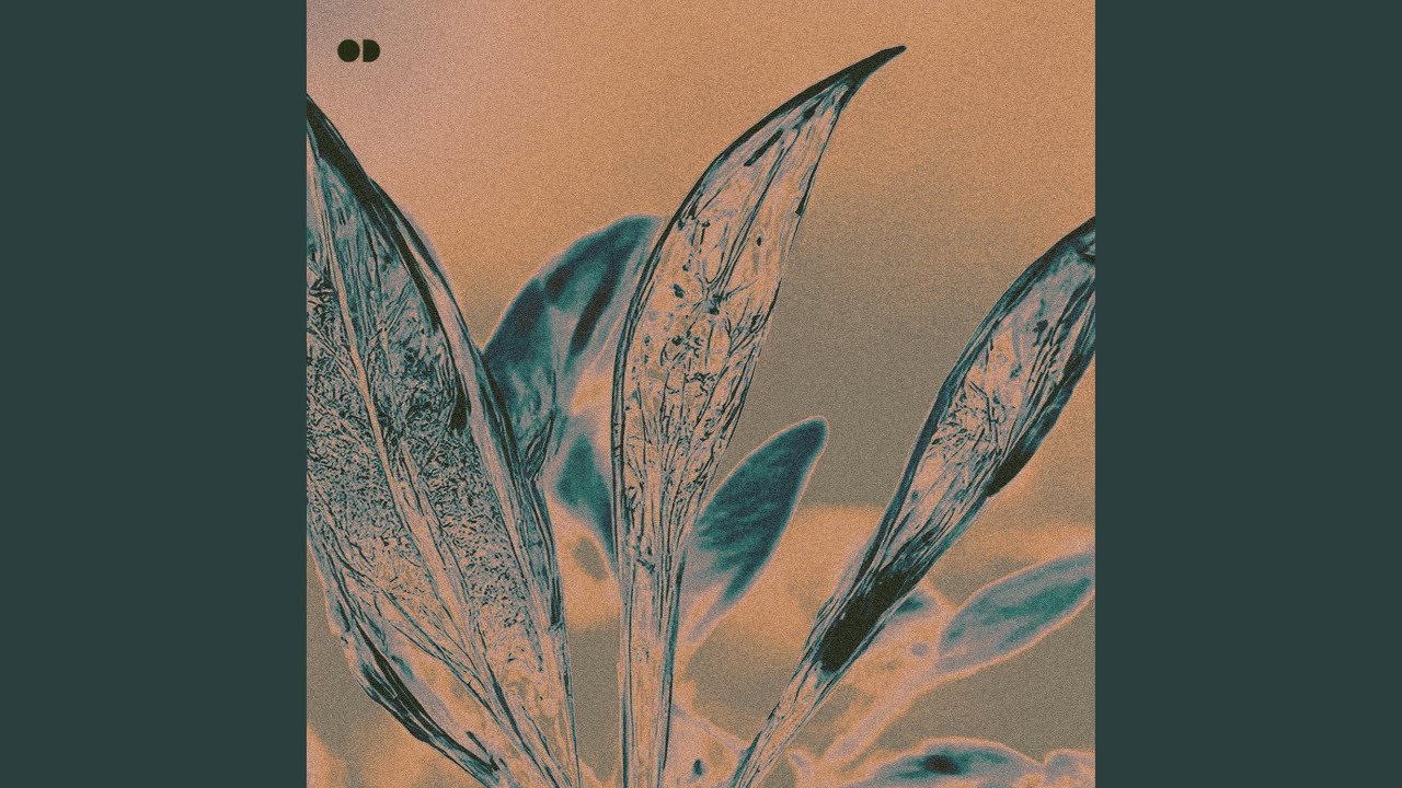 CHANGING FOR NOTHING bekijken op YouTube