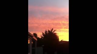 IMG 8871 1