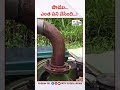 పాము... ఎంత పని చేసింది...!#4th #estate #news #shorts #snake #viral #public