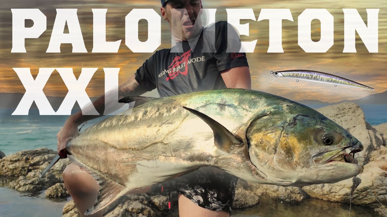 Spinning desde Costa - Palometón GIGANTE #25