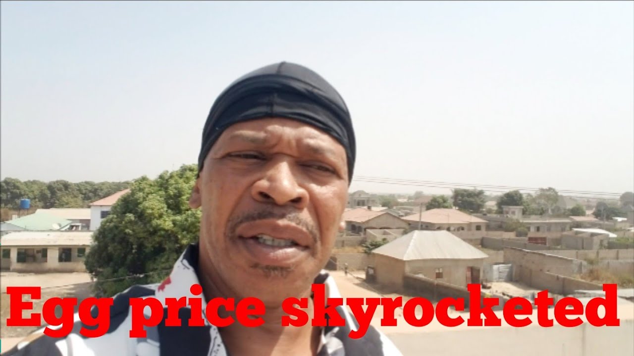 WHAT'S GOING ON WITH THE PRICE OF EGGS? HERE'S WHY! THE BEYSIDE JEWEL