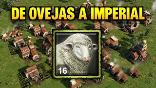 FAST IMPERIAL PORTUGUÉS en AOE 3  ¡Economía y Ejército Imbatibles!