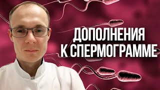 Дополнения к спермограмме. Проблемы с зачатием. Врач уролог-андролог. Москва.