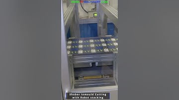 Schober Technologies RSM 520+ INMOULD CUTTING #ppmachinery