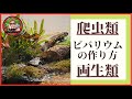 爬虫類・両生類のためのビバリウムの作り方