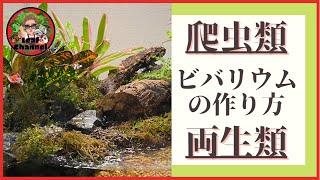 爬虫類 両生類のためのビバリウムの作り方 Youtube 爬虫類 両生類のためのビバリウムの作り方 Youtube