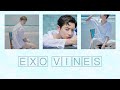 EXO vines to watch when you miss them