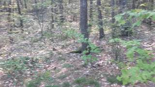 Tour of Site 74, Crotch Lake, North Frontenac Parklands