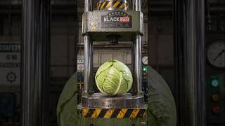 Mention the name of this vegetable.! 100 ton weight #viralvideo