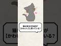 Q：猫って自分の名前が【かわいい】って思ってる？