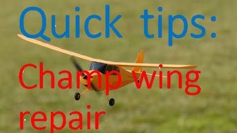 quick fix- champ wing