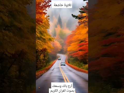 تلاوة خاشعة للقارئ الشيخ عبد الوالي الأركاني المصحف المرتل آيات تلاوة خاشعة